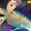 Sea Turtle
Original Acrylic Painting by Ginny Abblett
SOLD