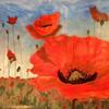 Poppies!
Original Acrylic by Ginny Abblett
$92.00