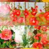 Hollyhock Placemats.  
16"x 12."  $42.00 each