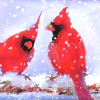 Snow Cardinals  
10 x 8  framed pastel  
$100.00